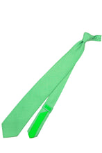 画像をギャラリービューアに読み込む, Italo Feretti Tie light green × white