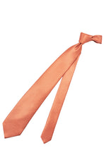 画像をギャラリービューアに読み込む, Silvio Fiorello Tie orange × blue