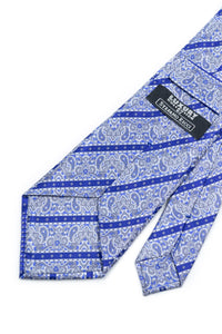 STEFANO RICCI Pleats Tie  blue × silver gray