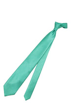 画像をギャラリービューアに読み込む, Silvio Fiorello Tie green × navy
