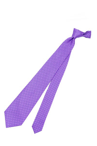 STEFANO RICCI Tie  purple