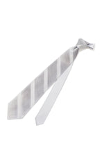 Load image into Gallery viewer, STEFANO RICCI Pleats Tie  silver gray

